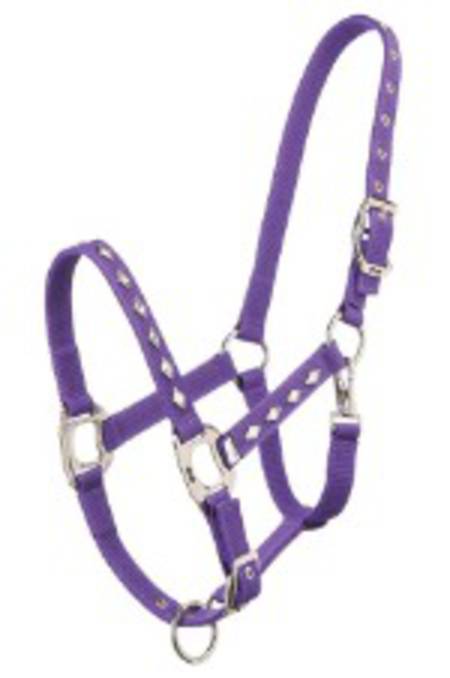 Zilco Diamond Jewels Transport Halter