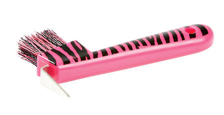 Roma Zebra Hoof Pick