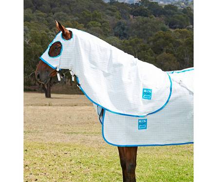 Kool Coat Lite Hood