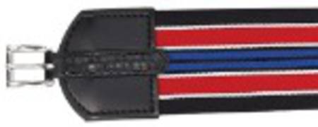 Elastic Race Girth 75mm Wide-22mm Buckle