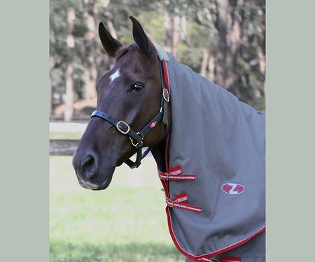 Zilco Garrison Neck Rug