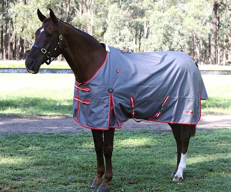 Zilco Garrison Rug