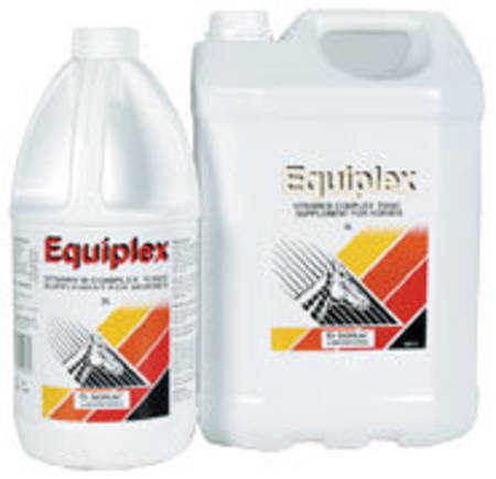 Equiplex 2L