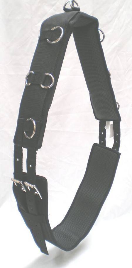 Eventor Anti Gall Lunge Roller