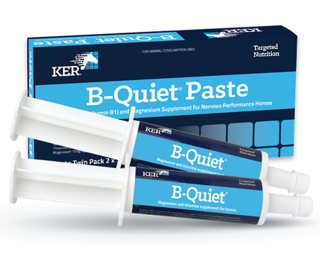 KER B-Quiet Paste