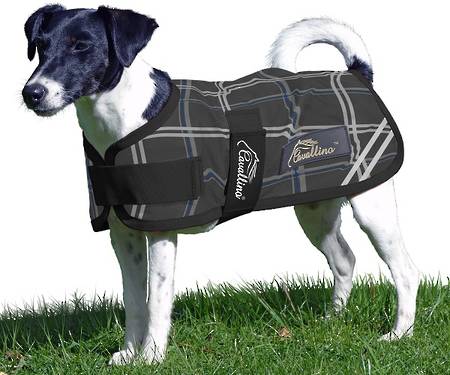 Cavallino Badminton Dog Coat