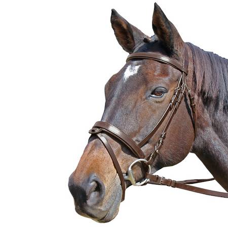 Cavallino Fine Flat Padded Bridle