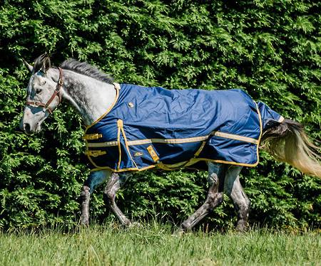 Cavallino Northampton Turnout Rug - No Fill