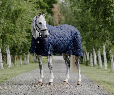 Cavallino Stable Rug - 100gm Fill