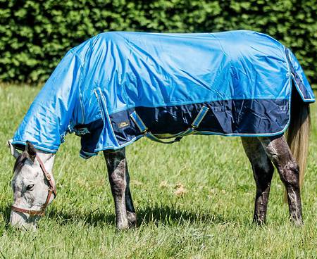 Cavallino Westminster Turnout Combo - 300gm