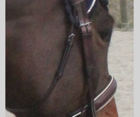 Hinterland Throatlash