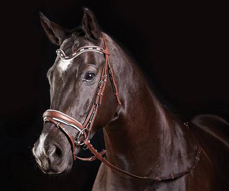 Collegiate Deep V Pearl Flash Bridle
