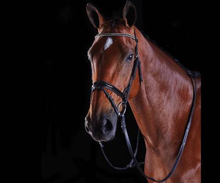 Collegiate Multi Crystal Crank Flash Bridle