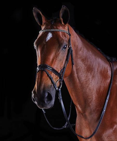 Collegiate Multi Crystal Crank Flash Bridle