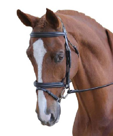 Collegiate Padded Hanoverian II Bridle