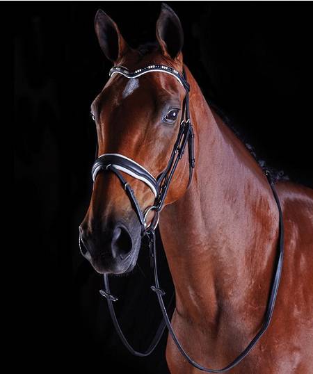 Collegiate Patent Pearl Flash Bridle