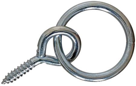 Screw Eye/Ring-Arion
