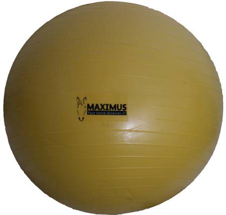 Arion Maximus Power Play Ball