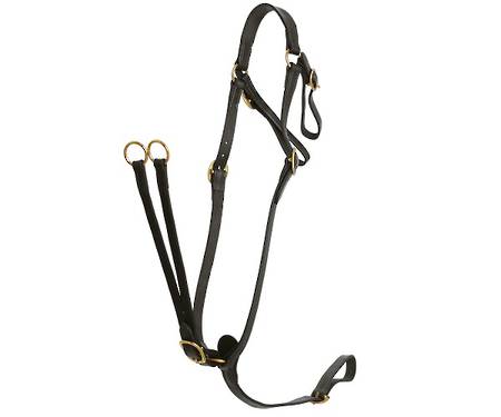 Flair Heavy Duty Martingale Breastplate