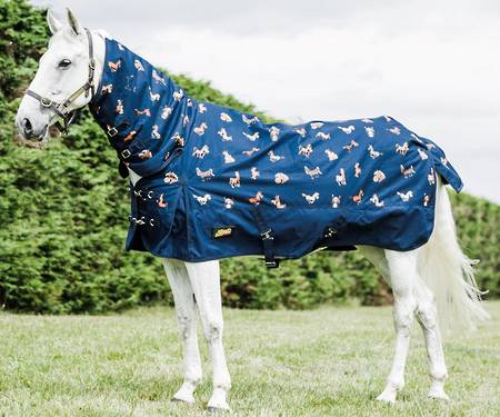 Flair Cartoon Horse Turnout Combo - 200gm