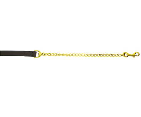 Flair Leather Show Lead - Brass Chain