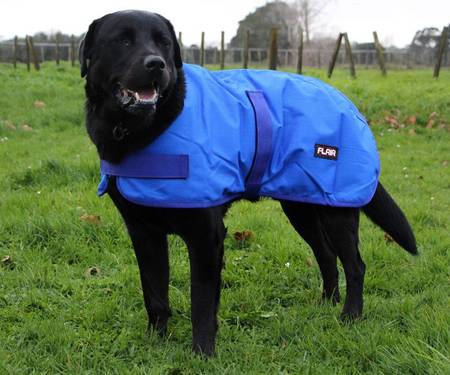 Flair Roxburgh Dog Coat