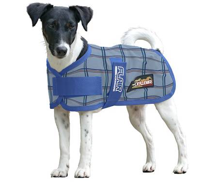 Flair Wanaka Dog Coat
