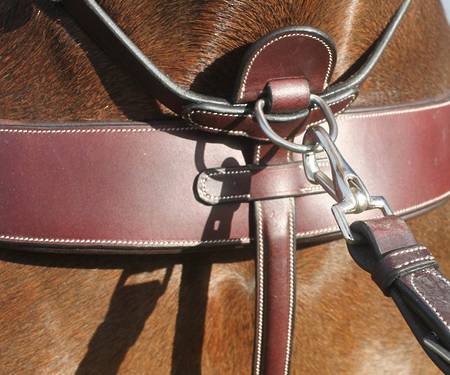 Hinterland Ultimaate Martingale