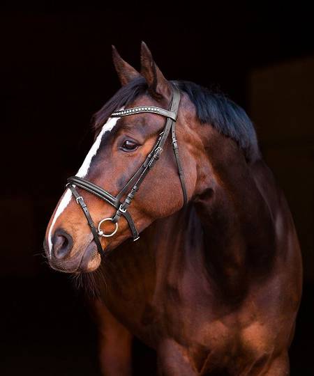 Horze Athena Snaffle Bridle