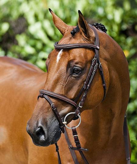 Horze Constance Snaffle Bridle
