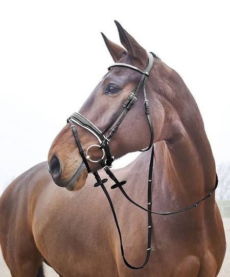 Horze Rohan Snaffle Bridle