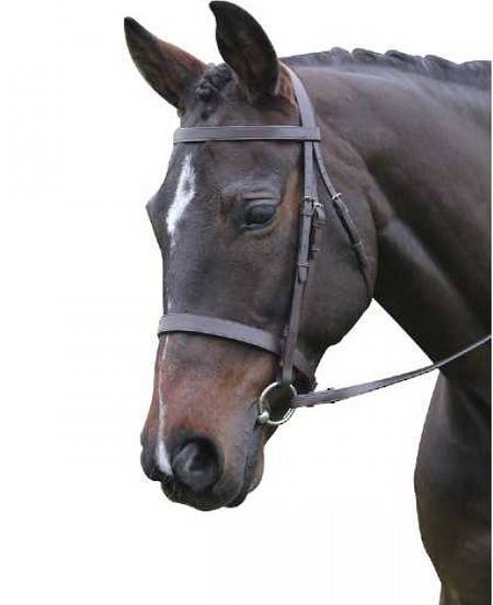 Kincade Flat Cavesson II Bridle