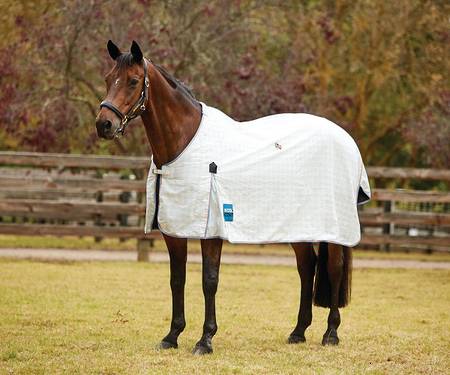 Kool Coat Cotton Standard Neck
