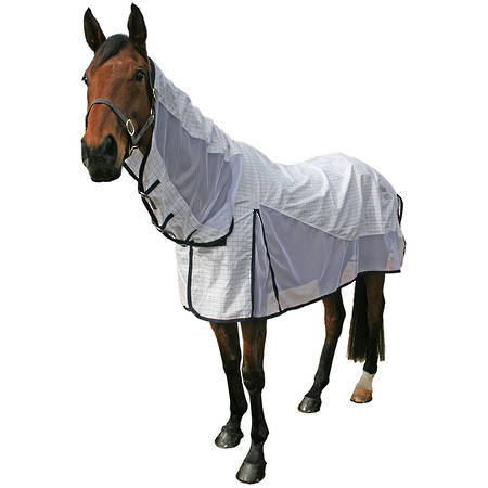 Cavallino Windsor Summer Mesh Combo