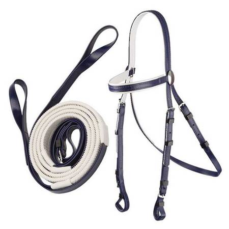 Zilco Race Bridle & Loop Rein Set