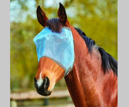 Saxon Buzz Away Fly Mask