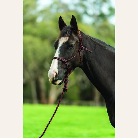 Saxon Two Tone Rope Headcollar and Lead set