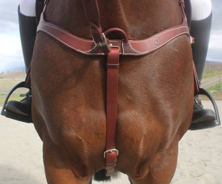 Hinterland Ultimaate Breastplate
