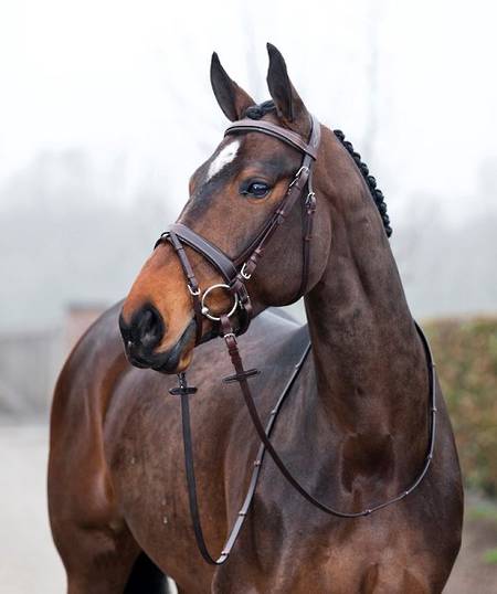 Horze Venice Snaffle Bridle