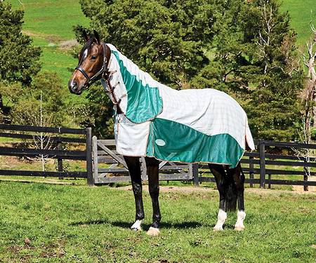 Weatherbeeta Breeze Combo - Scrunch Neck