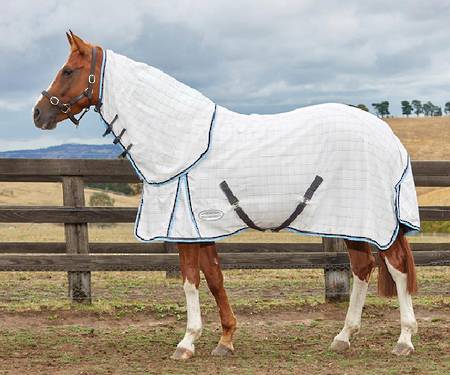 Weatherbeeta Summer Sheet Cotton Combo