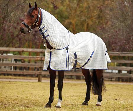 Weatherbeeta Summer Sheet Detach-A-Neck Combo