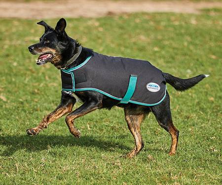 Weatherbeeta Green-Tec 900D Dog Coat