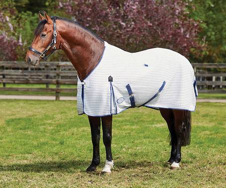 Weatherbeeta Summer Sheet Standard Neck with Full Wrap Tail