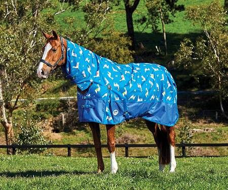 Weatherbeeta Comfitec Essential Combo Lite - Llama Print