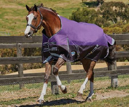 Weatherbeeta Comfitec Plus Dynamic II Standard Neck - Medium/Lite