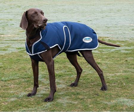 Weatherbeeta Comfitec Premier Parka Deluxe Dog Coat