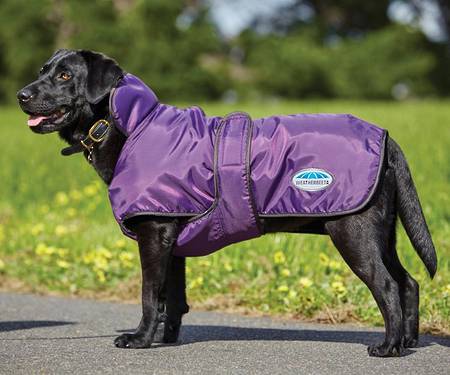 Weatherbeeta Comfitec Windbreaker 420D Deluxe Dog Coat
