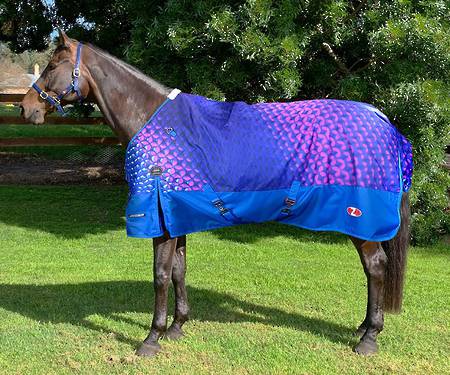 Zilco Crusader 200 Rug