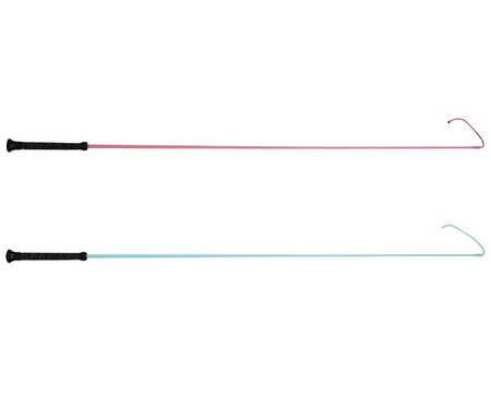 Dublin Brights Dressage Whip